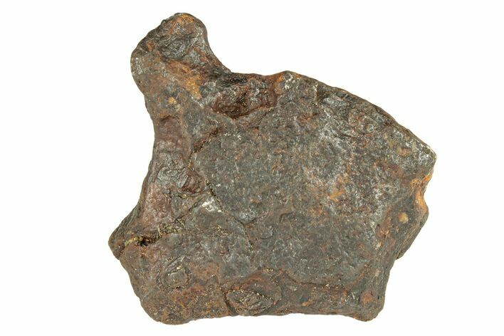 Canyon Diablo Iron Meteorite (g) - Arizona #270703